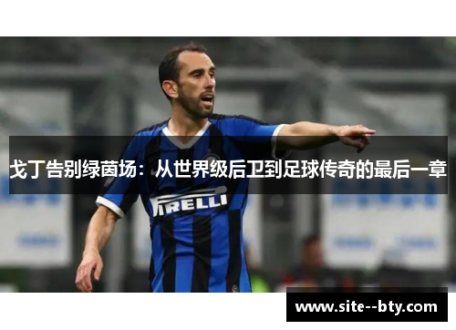 戈丁告别绿茵场:从世界级后卫到足球传奇的最后一章 戈丁告别绿茵场:从世界级后卫到足球传奇的最后一章